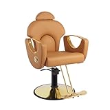 Hicomony Salon Chair for Hair Stylists - Reclining Height Adjustable Hydraulic Beauty Chair, for Cosmetology, Spa
