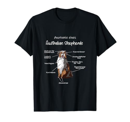 Anatomie eines australian shepherds
