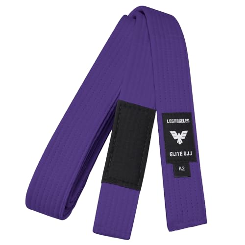 Mastering the Art Best JiuJitsu Schools for Training