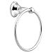 Moen DN6886CH Sage Inspirations Towel Ring, Chrome