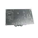 KiraKira TPA3255 600 W Classe D HIFI Scheda Audio 2 Canali Modulo Ampia Frequenza Car Home Stereo FAI DA TE Build