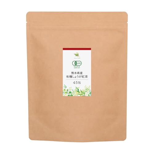 }VFsA L@傤g Y 2g×45 F{Y L@Ig eB[obO L@JASF I[KjbN