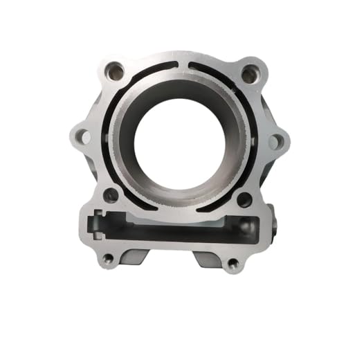 Segment de cylindre 13101-004-0000 contre la perte de compression - 2