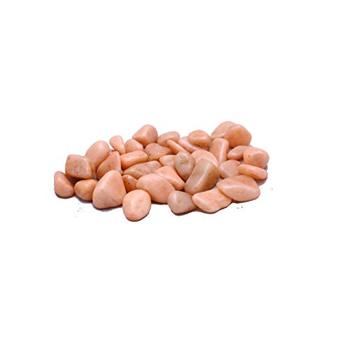 Pebblo Unpolished Cream Stone Pebbles (2 KG) - Decorative Pebbles for Home Décor and Office (B08FWTRQ5R) Amazon Price History, Amazon Price Tracker