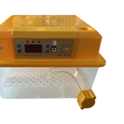 Yajuyi Chocadeira digital automática de ovos para incubação de animais, chocadeira prática automátic
