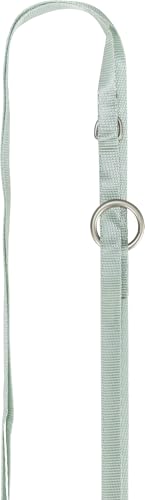 TRIXIE Junior Welpen-Softgeschirr mit Leine Größe S–M: Brustumfang 26–34 cm/10 mm in mint - gepolstertes anpassbares Hundegeschirr mit 3fach verstellbarer Leine für kleine Hunde, 15565