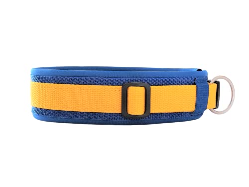 BUDDYPACK | Exklusives Hundehalsband Extra-Breit und Weich mit Neopren-Polster | Größe XXS-3XL | Verstellbar (XS (32-37 cm), Blau-Gelb)