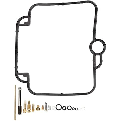 Kit de Réparation Carburateur Qiilu pour Suzuki DR650 Cover