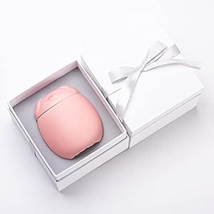 Pet Urns for Dogs Ashes Keepsake Memorial Cremation Small Cat Dog Gifts Box Funeral Urn Personalized (Pink) Pet Urns for Dogs Ashes Keepsake Memorial Cremation Small Cat Dog Gifts Box Funeral Urn Personalized (Pink)