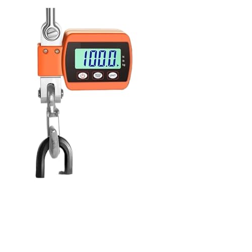 Balance de grue 500 kg robuste adaptée au levage en environnement difficile
