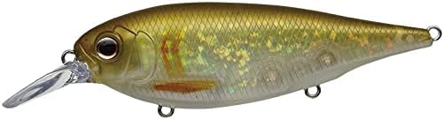 EVERGREEN Xover #399 Neon Ayu