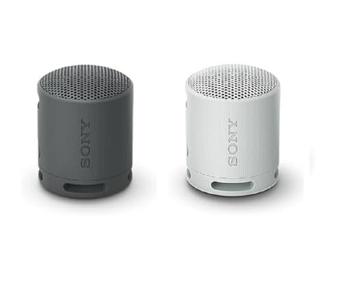 Sony SRS-XB100 - Enceinte sans Fil Bluetooth, Portable, légère, compacte (Noir + Gris)