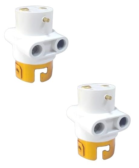 RSR Parallel Adapter with Multi Pendant Adapter Light Bulb and Plug Socket, 2 pin Holder Brass Connector, Lightweight & Easy to Carry (Pack of 2) (B0CNXWWNNF) Amazon Price History, Amazon Price Tracker