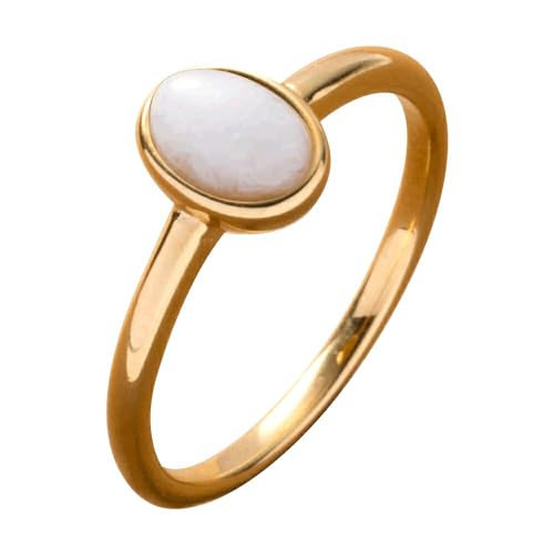 [b@D] N[hbg O w fB[X lC XeX VR ςȂ T[WJXeX J{VO mE zCgAQ[g yzCg×12z