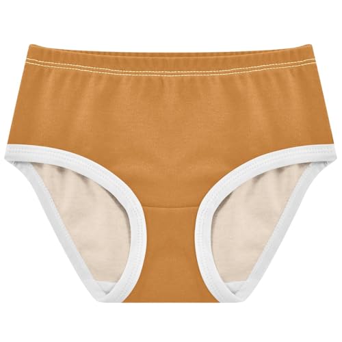 Joisal Ocher Brown Panties Little Girl Toddlers Underwear Floral Cotton Fancy Briefs Underpants 2t