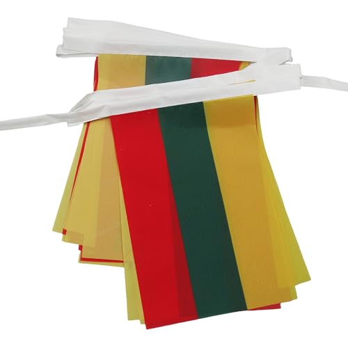 Image of AZ FLAG Lithuania 6 meters BUNTING Flag 20 flags 9'' x 6'' - Lithuanian STRING flags 15 x 21 cm
