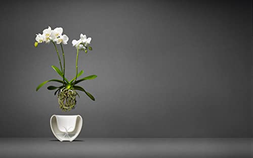 Eva Solo | Orchid Pot | Ø17Cm Self-Watering Orchid Pot | Keeps Indoor House Plants, Flowers, Herbs & Vegetables Watered & Healthy | Danish Design, Functionality & Quality | White #TOP2