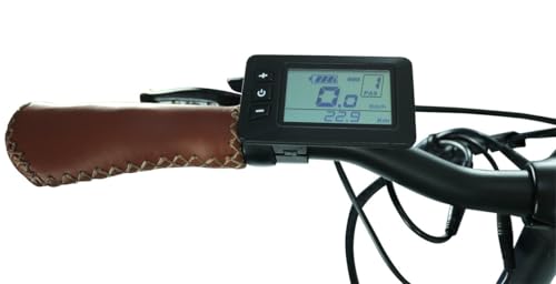 Blaupunkt Frida E-Bike Falt-E-Bike mit 24 Zoll Reifen und Scheibenbremsen