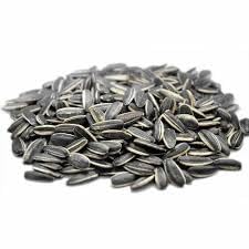 Ariya Dry Bird Food Imported Large Size Sunflower Seeds for Grey and Indian Parrot, Macaw, Cockatoo and Exotic Birds 500 g (B0D56D7Y23) Amazon Price History, Amazon Price Tracker