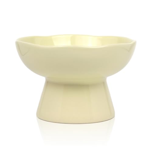 6.1" Wide Ceramic Elevated Cat Bowls for Flat-Faced Cats