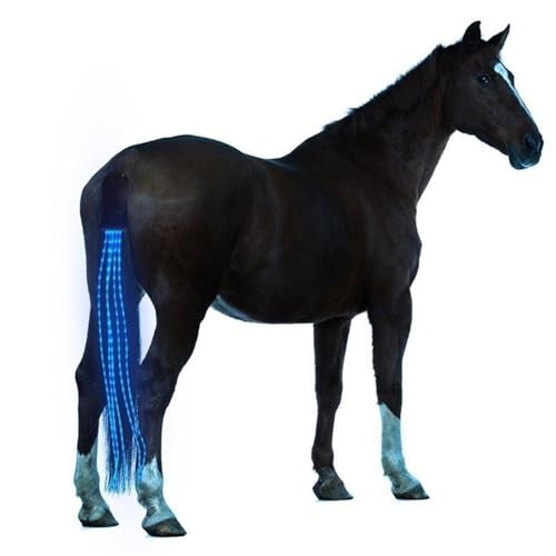 Häst reflekterande artikel – USB-uppladdningsbara lampor hästsvans lyser upp LED-belysning lysande Hi-Viz ryttare säkerhetsutrustning häst jul ridning dekoration (blå)