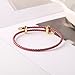 Adjustable Steel Wire Bracelet With Titanium Buckle For Valentine'S Day Lucky Jewelry, A Fashionable Gift For Men, Women, Couples, And Friends (Red)