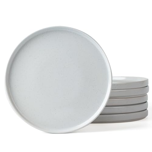 famiware Nebula 6 Pieces Dinner Plates, 10.2" Plates Set, Scratch Resistant, Stoneware Dinnerware, Kitchen Modern Rustic Dishes,