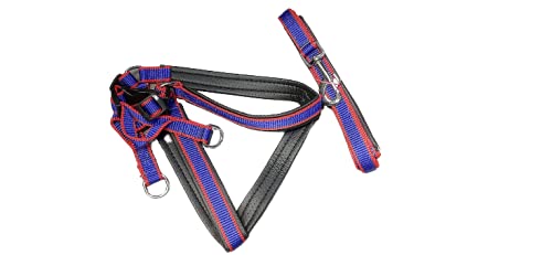 AniMax Harness and Dog Lead Set, Soft Padded Pet Vest Harness with Dog Leash Adjustable Reflective Car Harness and Bungee Dog Training Leash Quick Fit Harness for Adult and Medium Dogs (Purple) (B0993QKLNW) Amazon Price History, Amazon Price Tracker