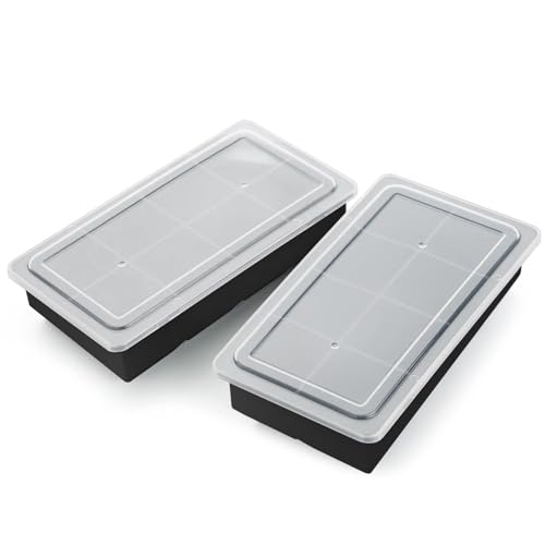 Large Ice Cube Trays with Lids