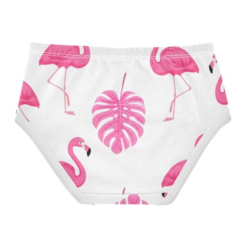 Fancy Toddler Girls Underwear 2t Cotton Girl Panties Cute Cute Pink Flamingos Leaves White Briefs Undies Kids2