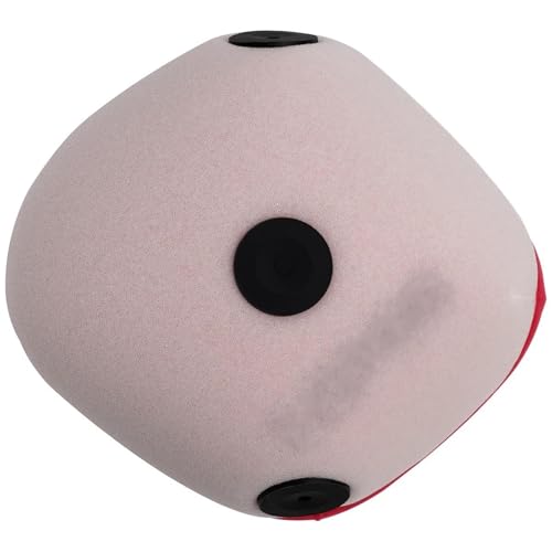 Filtre à air pour moteur de moto enduro Beta Xtrainer 250 300 RX450