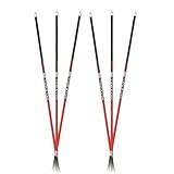 Carbon Express Maxima RED Fletched Carbon Arrows with Dynamic Spine Control and Blazer Vanes, 250 (.400 Spine), 6-Pack