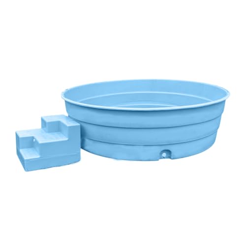 DARE WIN STORE Piscina infantil 1900l con escalera