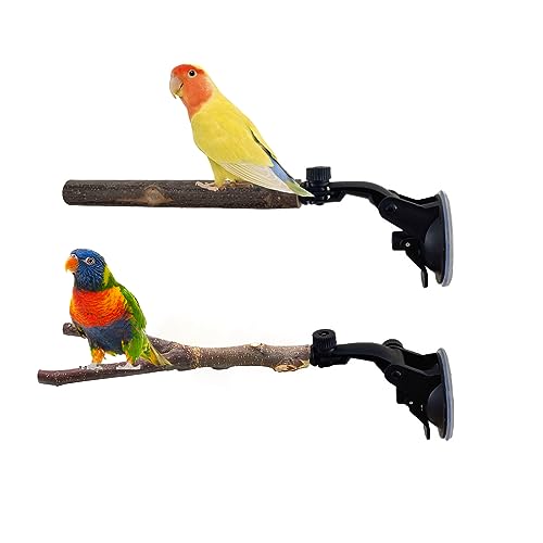 2 Piezas Perchas Naturales para Pájaros con Ventosa Pájaro de Madera Soporte de Perca Juguetes para Pajaros Soporte de Actividad de Madera de Loro Parrot Stand para Superficies Lisas