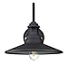 Signature Hardware 449314 Pimmet 14" Tall Outdoor Wall Sconce