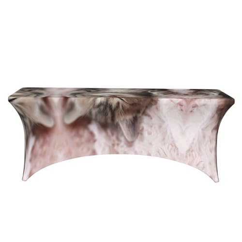 Nappe de table extensible chat endormi fête et banquet