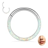 316L Silver Septum Jewelry 6mm 16G White Opal Septum Rings Daith Jewelry 16G Conch Piercing Jewelry Higend Segment Nose Hoops Septum Hoop Clicker Rings Rook Helix Tragus Cartilage Lobe Earrings