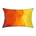 AMDXD Housse de Coussin 30x50, Taie Oreiller Rectangle Jaune Résumé Modèle Sofa Taie Oreiller (Polyester, 1Pcs)