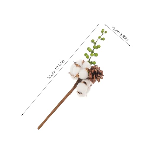 Tiges de coton séché vert 33cm | Lot de 4 branches pour bouquet champêtre