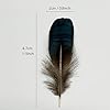 100PCS Green Small Natural Feathers 1.5"-3" for Craft Dream Catchers (Green Bronze Lady Amherst Pheasant Feathers) #1