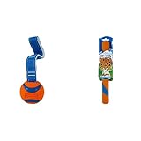 Chuckit! Ultra Tug Dog Toy (Medium) and Ultra Fetch Stick Dog Toy