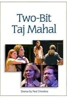 Two-Bit Taj Mahal 1583426337 Book Cover