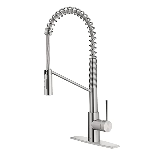 KRAUS Oletto Commercial Pull Down Faucet