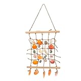 Generico Decorazione Murale a Forma di Conchiglia Vere Conchiglie e Strombo, Arredamento Nautico per Esterni Corda Resistente, Ghirlanda di Conchiglie Appesa per Decorazioni Colore Casuale