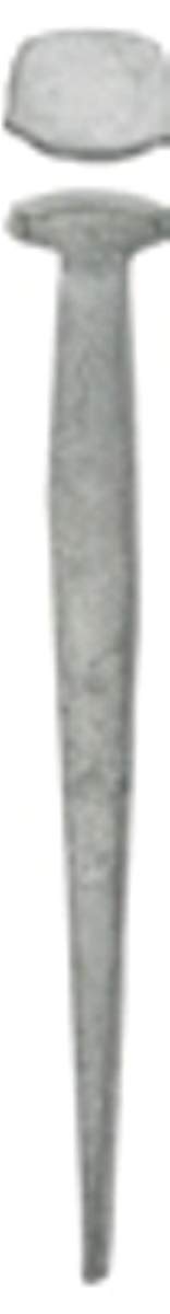 Acorn Manufacturing CC6M 6D Common Nail