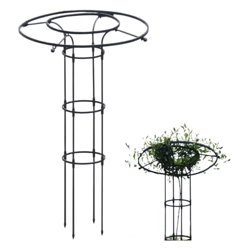 Treillis obélisque de jardin pour plantes grimpantes, 210 cm, support vertical antirouille pour jardinage intérieur et extérieur, idéal pour vignes et fleurs