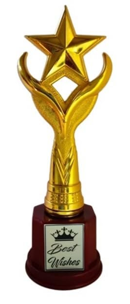 Victory Trophy Best Performer | Star Awards | Golden Trophy (25 cm)-picture-21