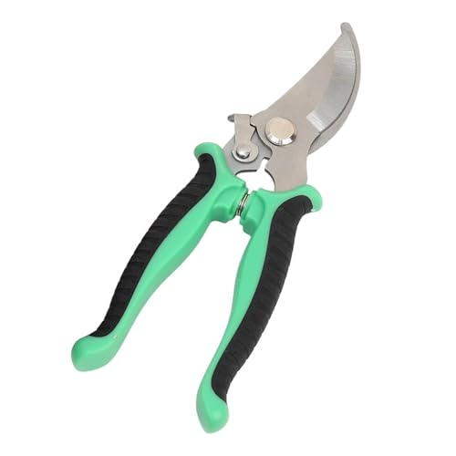 vdl̃K[fVU[AXeXoCpXؑ}g~Op΂tsȎp(Green)