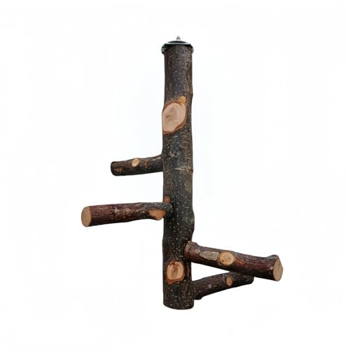 IE/CRp~܂؃X^hEVRؐP[WANZT[ | ܂Ƃ΂PAEނ | //IJCR/ZLZCCRΉ |tȒP