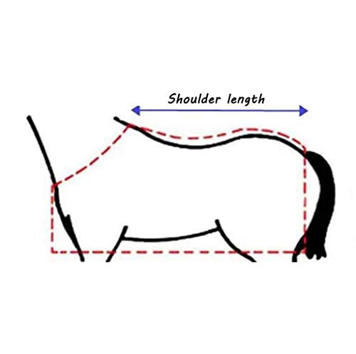 Horse Blanket 210D Waterproof Oxford Cloth Ripstor Horse Turnout Rug Medium Weight Winter Polyester Cotton Lining 250g (Blue 135cm) - Afbeelding 3